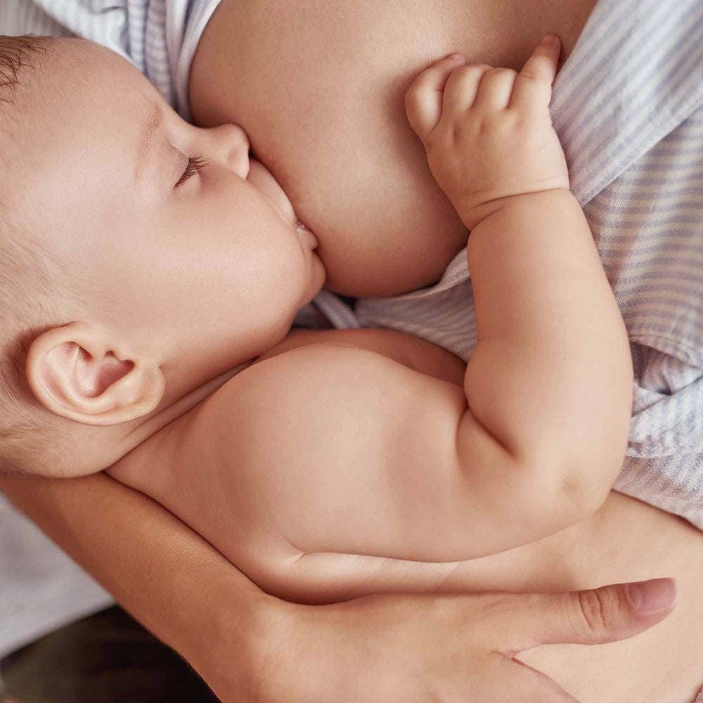 Nursing Balm - Pregnancy - Image 2