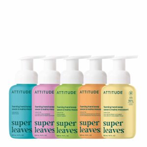 Foaming Hand Soap Kit
