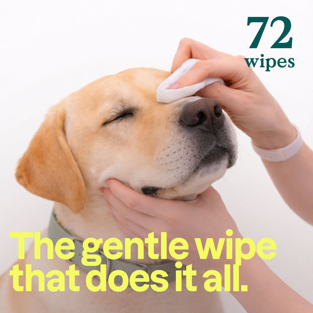 Pet Wipes - Image 4